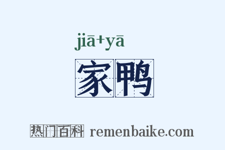 家鸭是什么意思的图片
